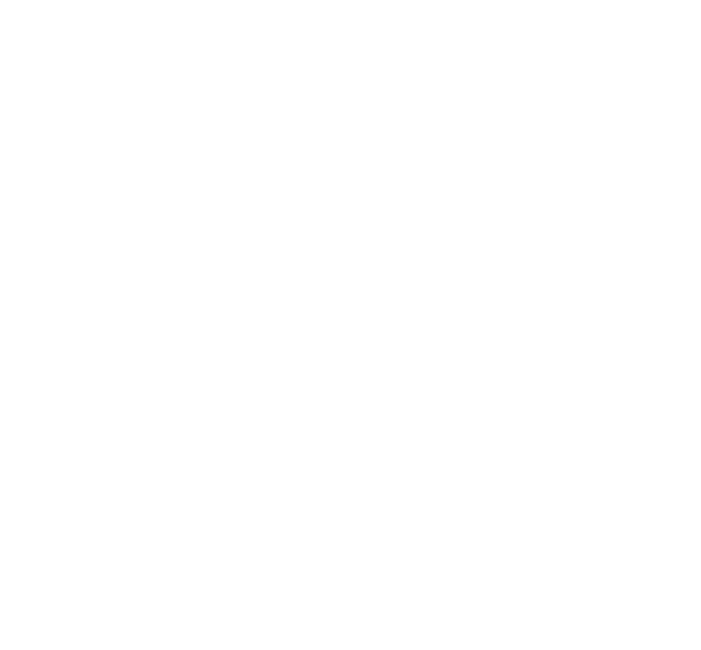 concept 		  solutions logo in white